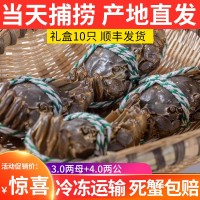大閘蟹 興化養(yǎng)殖基地大閘蟹禮盒公蟹4兩 母蟹3兩大閘蟹批發(fā)