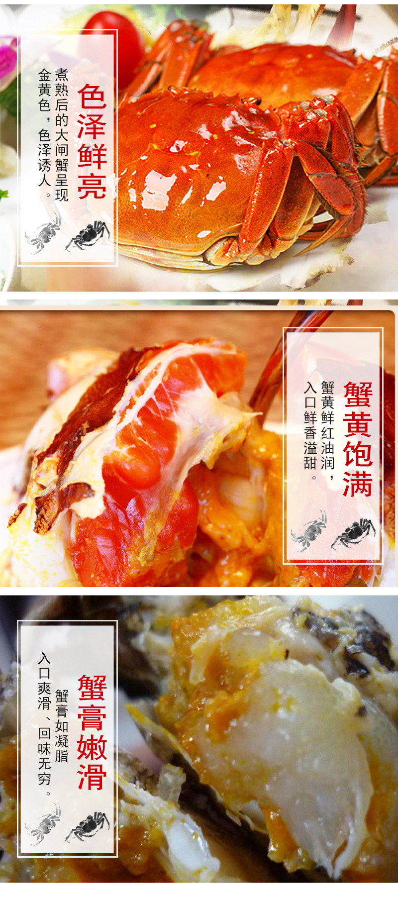 蟹之品詳情_06.jpg