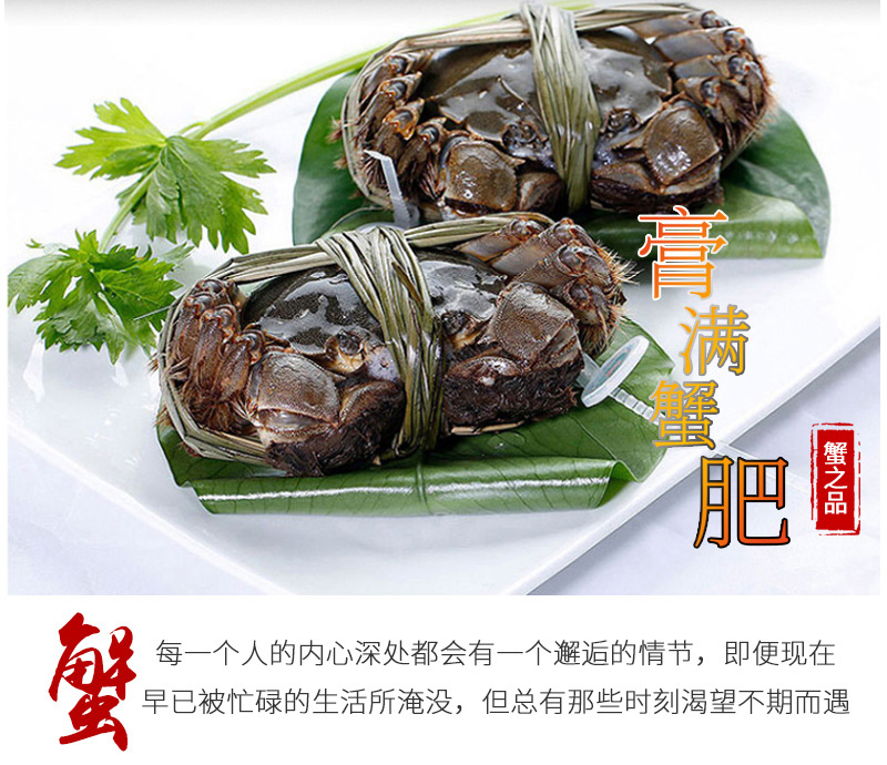 蟹之品詳情_05.jpg