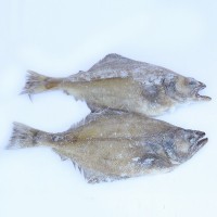 貨源供應比目魚 肉質鮮嫩冷凍鰈魚戶外燒烤鰈魚