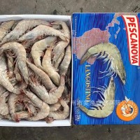 2021年鹽凍厄瓜多爾白蝦 40/50 老船長南美鹽白蝦藍盒殼薄 2kg/盒