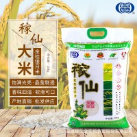 自家產(chǎn)地稼仙大米金桂銀月米10kg家庭裝米粒飽滿光亮南方大米現(xiàn)貨