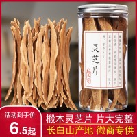 靈芝片批發(fā)靈芝切片 長白山靈芝 椴木靈芝片罐裝 中藥材泡酒泡茶
