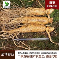 批發(fā)鮮人參吉林產(chǎn)地貨源長白山人參各種規(guī)格園參低價 鮮參廠家