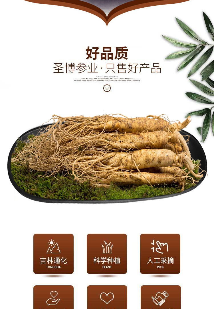 微信圖片_20211230145505_02