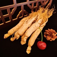 長(zhǎng)白山生曬白參邊條參各種規(guī)格現(xiàn)貨產(chǎn)地供貨新貨干年限足產(chǎn)地供貨