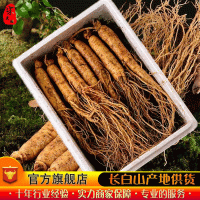 【新鮮人參】長(zhǎng)白山人參批發(fā) 產(chǎn)地直供 東北特產(chǎn) 鮮人參 泡酒煲湯