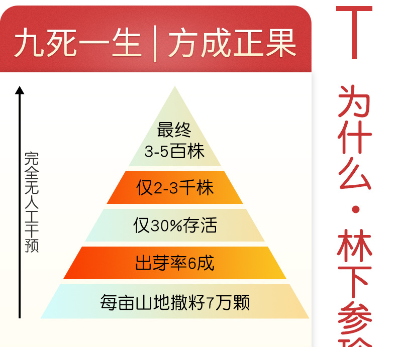 未標(biāo)題-1_09.jpg