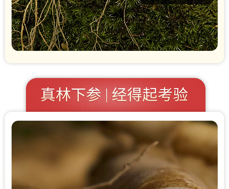 未標(biāo)題-1_11.jpg
