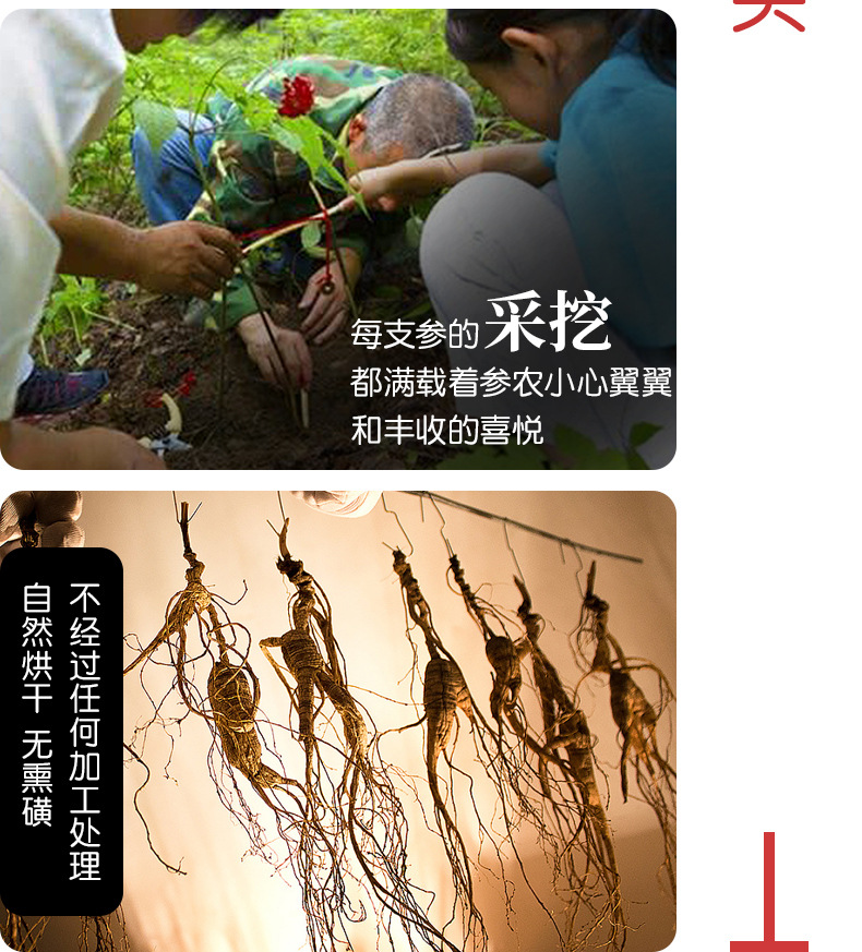 未標題-1_08.jpg