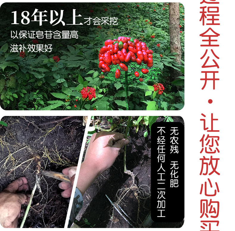 未標題-1_07.jpg