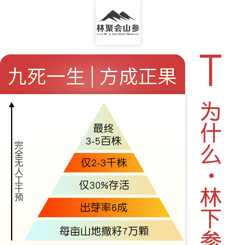 未標題-1_09.jpg