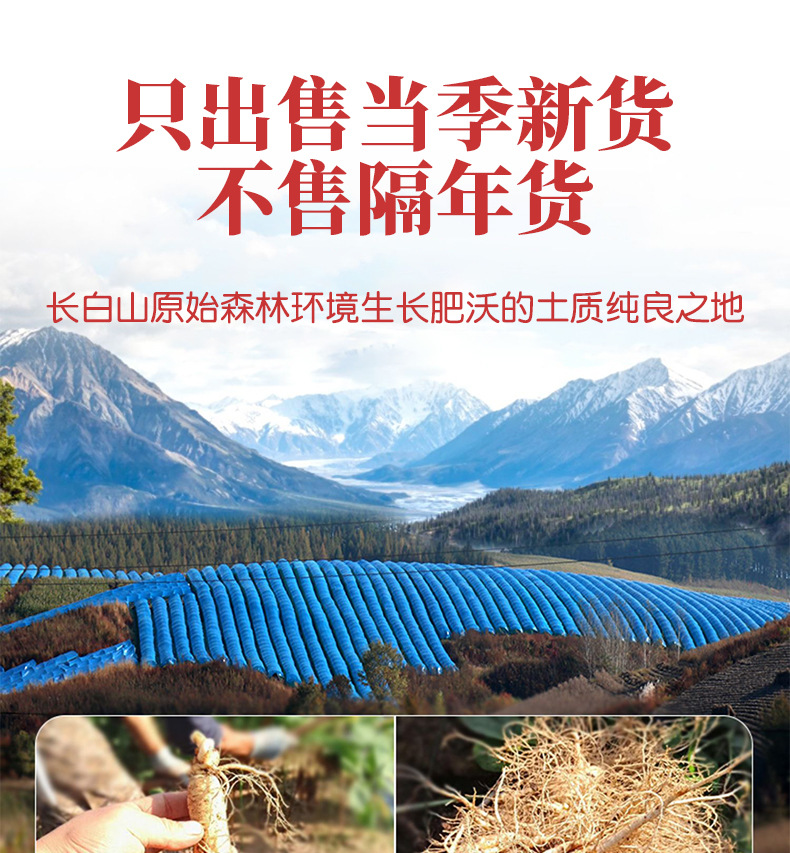 生曬參詳情_03.jpg