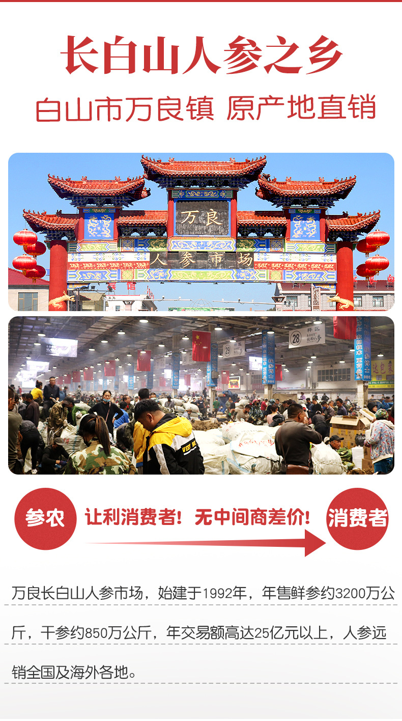生曬參詳情_02.jpg