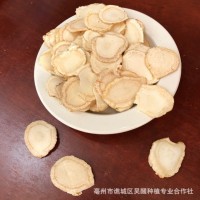 東北大貨 長(zhǎng)白山 西洋參切片 花旗參 西洋參片 西洋參 各種規(guī)格