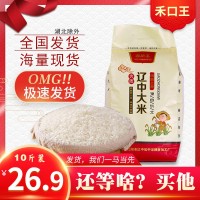 東北特產(chǎn)珍珠米10斤小町大米直批 新米5kg粳米福利農(nóng)產(chǎn)品會銷禮品