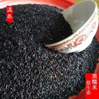 黑糯米包粽子米高山米長(zhǎng)粒黑米農(nóng)家自產(chǎn)米血糯米雜糧特產(chǎn)