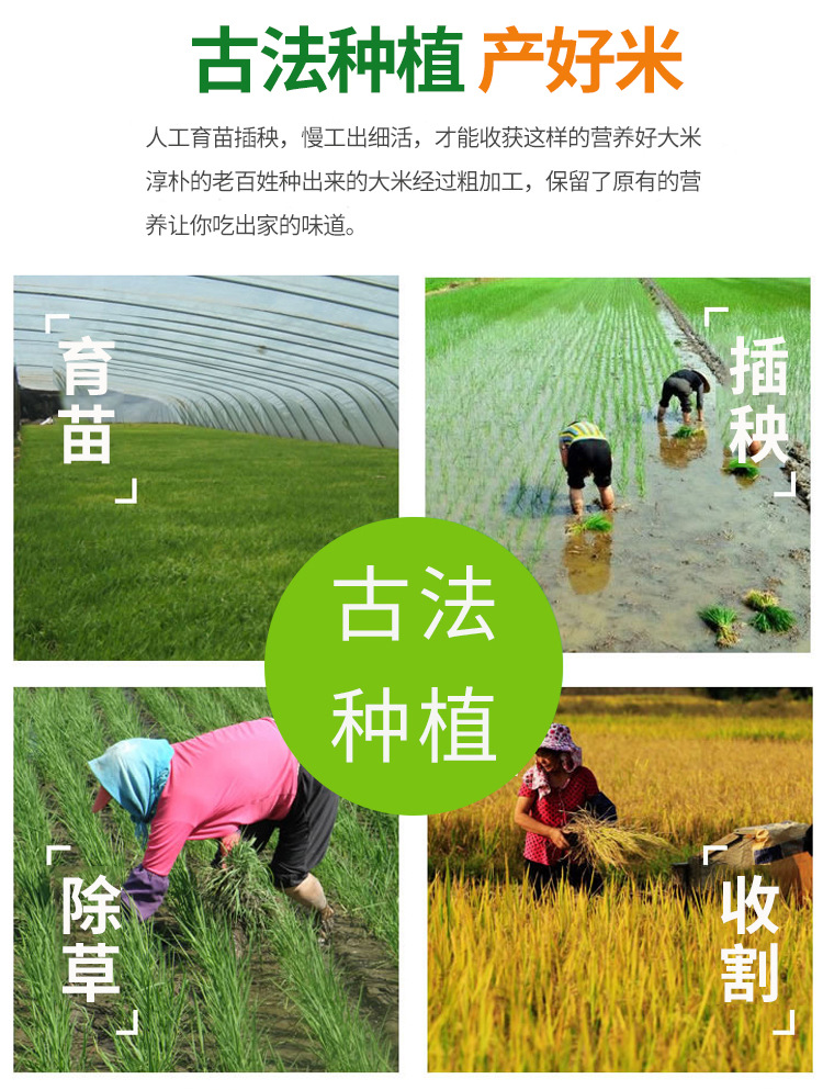 未標(biāo)題-2_03