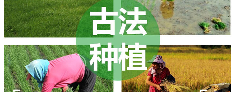 未標(biāo)題-1_008