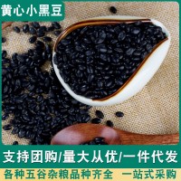 黃芯腎形小黑豆農(nóng)家自產(chǎn) 打豆?jié){黃心黑豆500g裝
