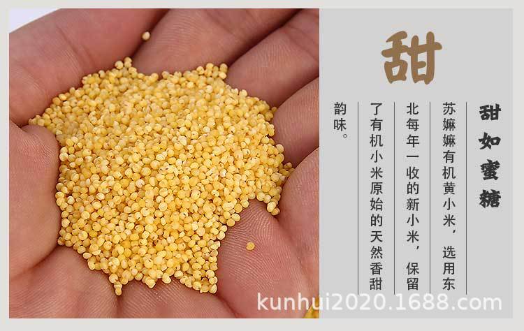 黃小米罐裝詳情_09.jpg