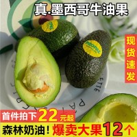 墨西哥牛油果新鮮大果進口鱷梨當(dāng)季寶寶孕婦水果整箱批發(fā)一件代發(fā)