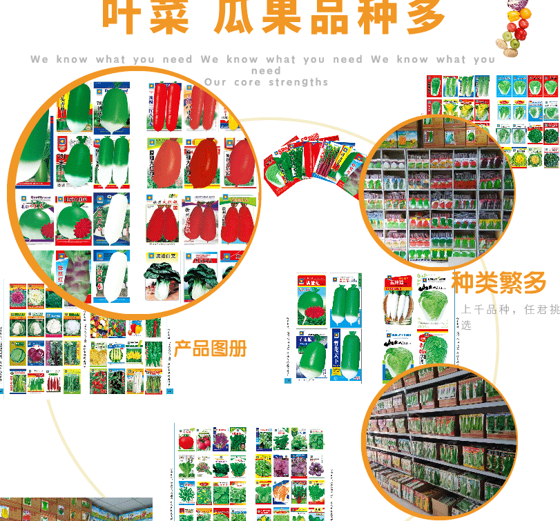 默認(rèn)文件1623362382597_03