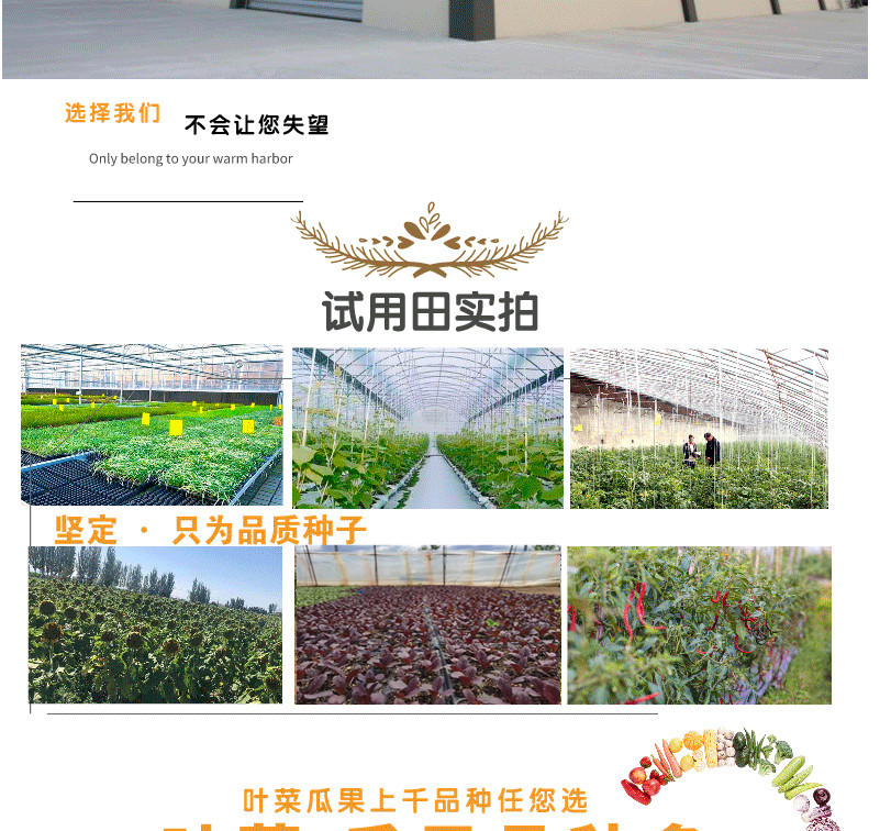 默認(rèn)文件1623362382597_02