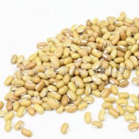 食泉坊竹豆五谷雜糧