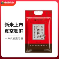 中褚當季東北長粒香鮮 大米5kg現(xiàn)磨打包真空米磚廠家發(fā)貨一代件發(fā)