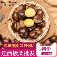 第一森林2021遷西板栗批發(fā)3113京東油栗313糖炒新鮮生栗子100斤