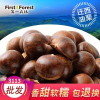 第一森林 2021遷西板栗燕山油栗河北遷西生新鮮3113板栗批發(fā)