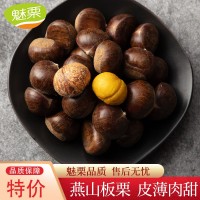 魅栗【燕山板栗批發(fā)】2020遷西板栗3113批發(fā)100斤產(chǎn)地發(fā)貨