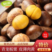 【魅栗】【青龍板栗】河北遷西板栗批發(fā) 青龍栗子 10斤起批