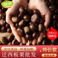 魅栗[糖炒試貨]遷西板栗批發(fā)糖炒遷西生栗子3113板栗新鮮油栗313