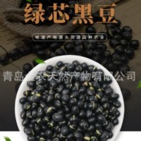 廠家直供黑皮綠仁烘炒黑豆-量大質(zhì)優(yōu)，出口品質(zhì)
