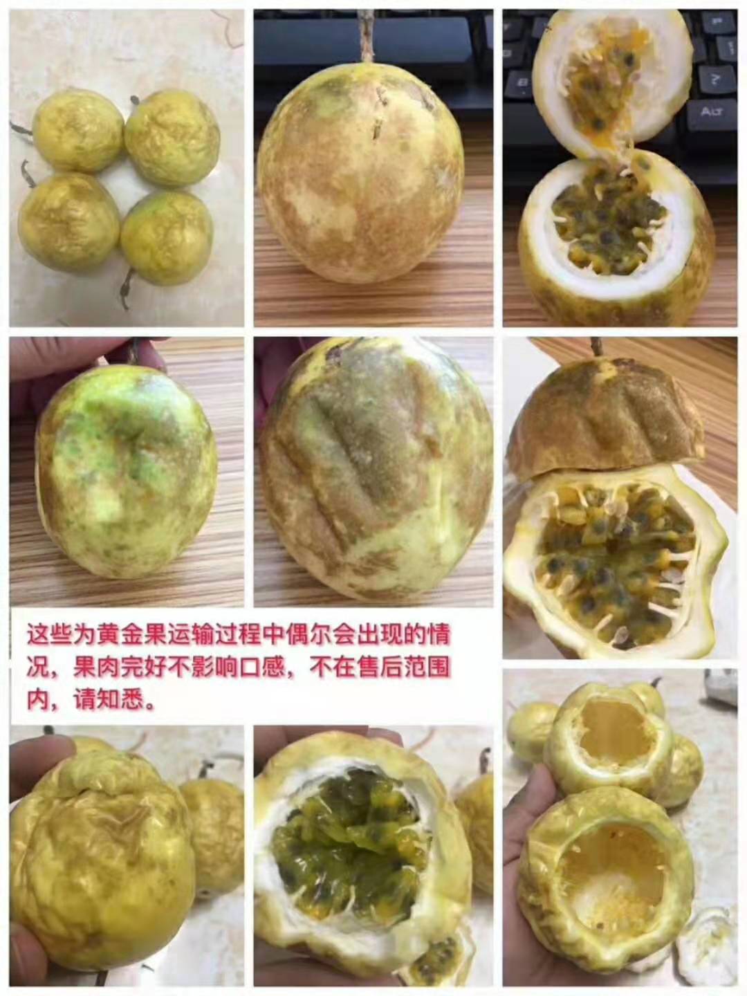 黃金百香果售后