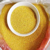 現(xiàn)貨黃小米月子米農(nóng)家小米散裝 五谷雜糧寶寶米 支持一件代發(fā)