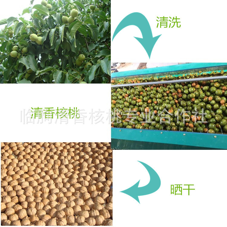 initpintu_副本