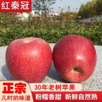精選粉面紅秦冠蘋果老樹紅香蕉水果帶箱10斤沙甜丑蘋果一件批發(fā)