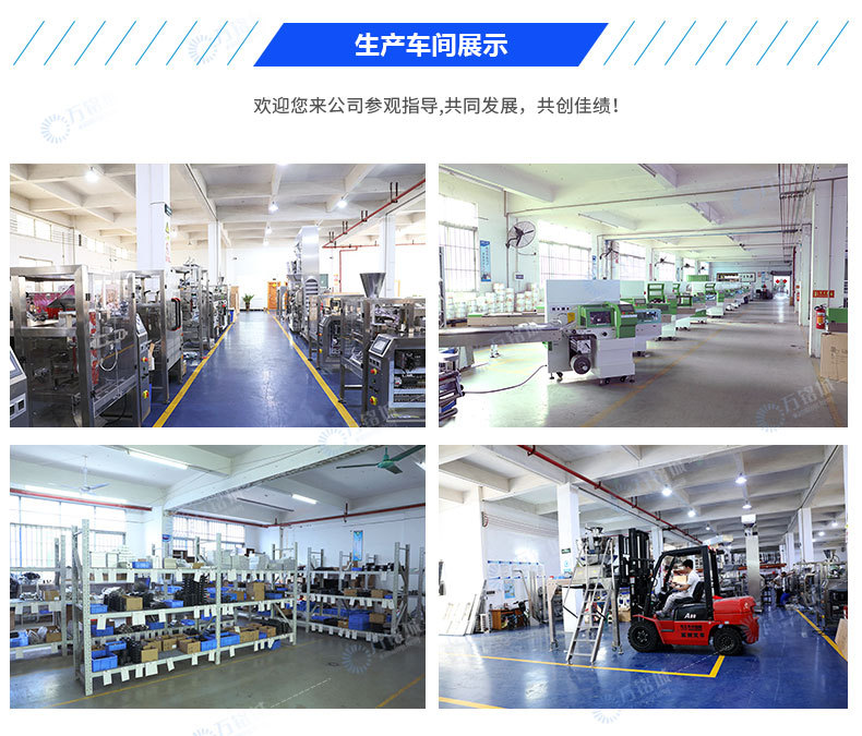 給袋式顆粒包裝機(jī)