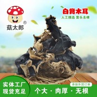 菇太郎頭茬大白背毛木耳農(nóng)家特產(chǎn)干貨散裝餐飲火鍋食堂商用可出口