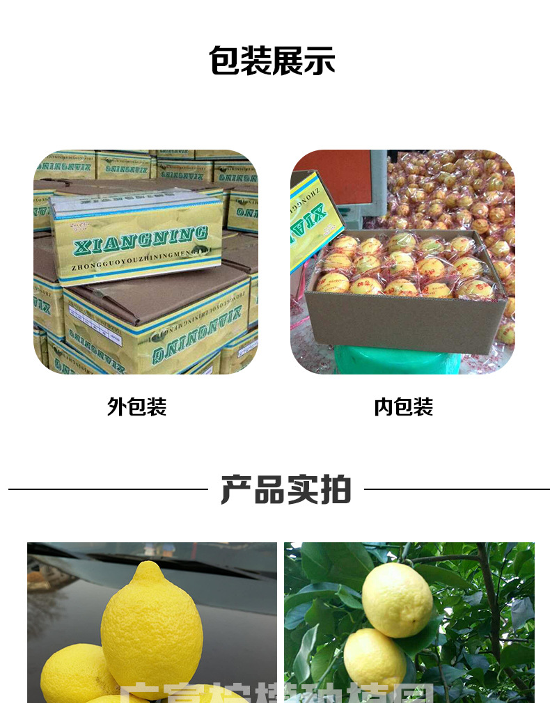 一級(jí)黃檸禮盒_08