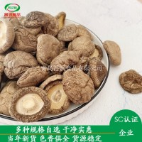 產(chǎn)地批發(fā)食用香菇新鮮香菇500g食用香菇直徑3cm4cm