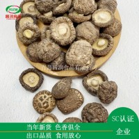 香菇2-3cm批發(fā)零售 農(nóng)家特產(chǎn)食用菌干貨