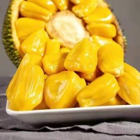 全年供應(yīng)海南三亞黃肉菠蘿蜜整果批發(fā)新鮮應(yīng)季香甜水果一件包郵