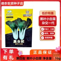 黑白配 黑葉小白菜種子 口感好 耐熱耐濕 容易種植四季播種30天收