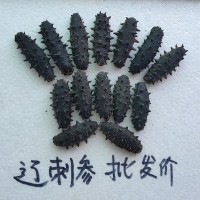 大連A級淡干海參500g克特價遼參刺參水產(chǎn)干貨1斤散裝批發(fā)工廠現(xiàn)貨