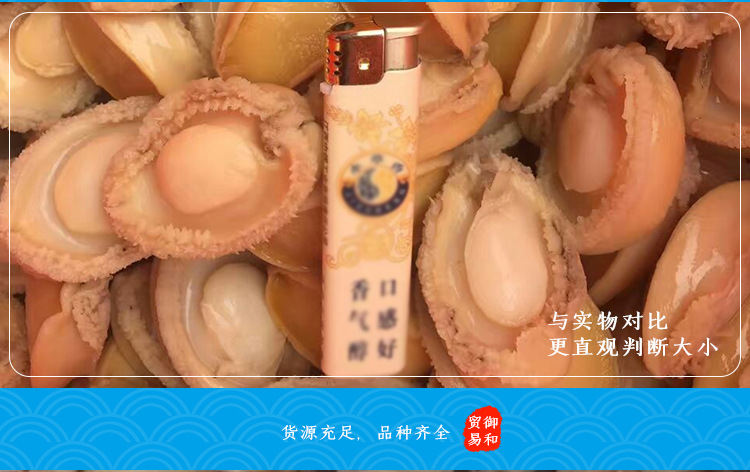 凈鮑魚肉_09