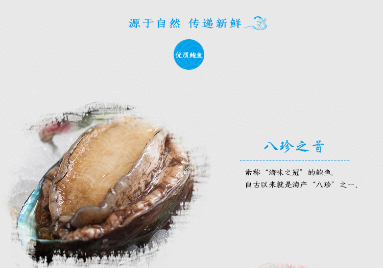 凈鮑魚肉_15
